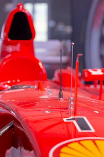 开云体育官网上-全国青少年旱地冰球锦标赛在哈尔滨精彩展开，旱地冰球比赛时间