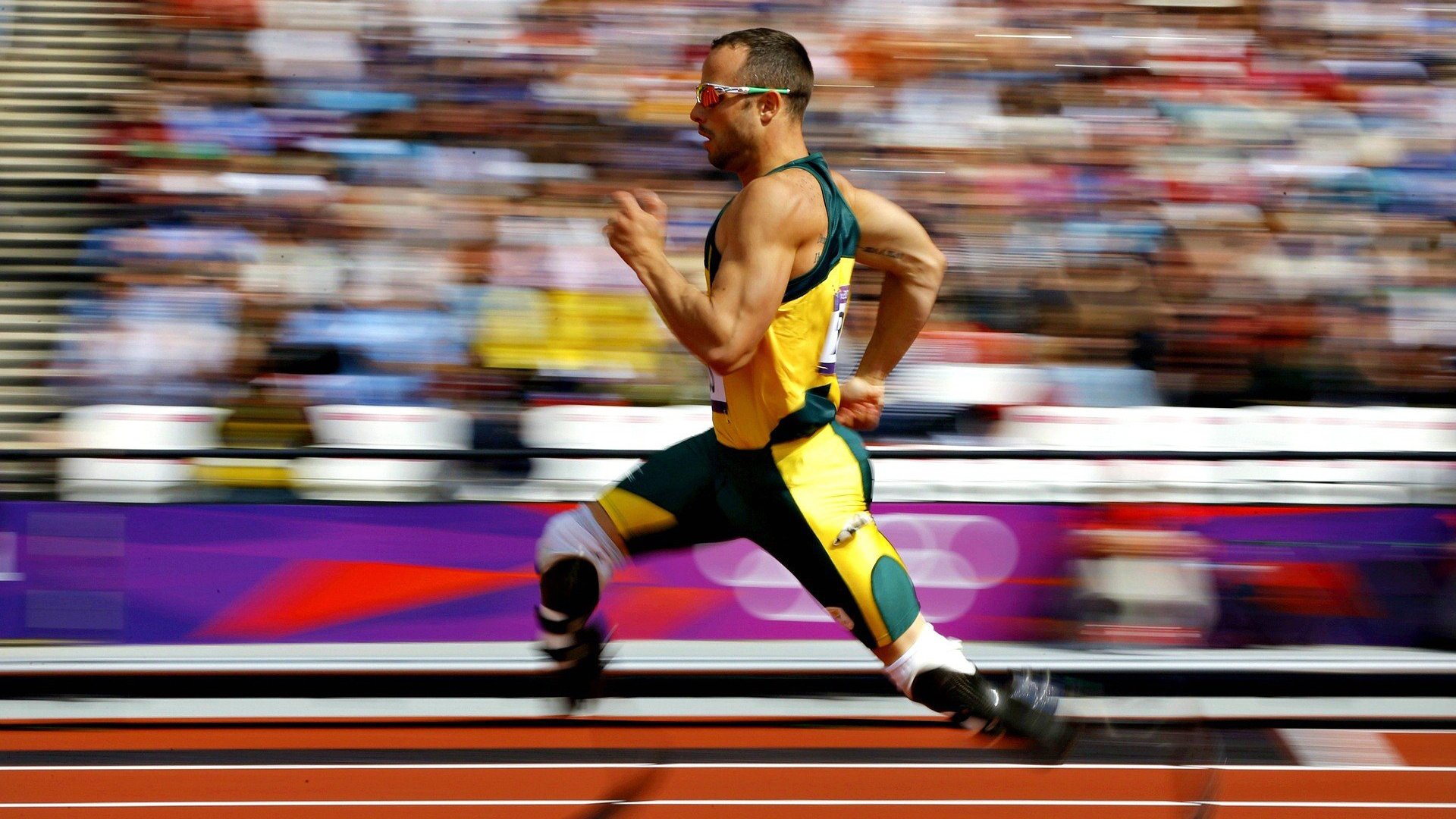 开云体育官网下载-中国赛车大奖赛决赛日燃情开跑，中国赛车节目